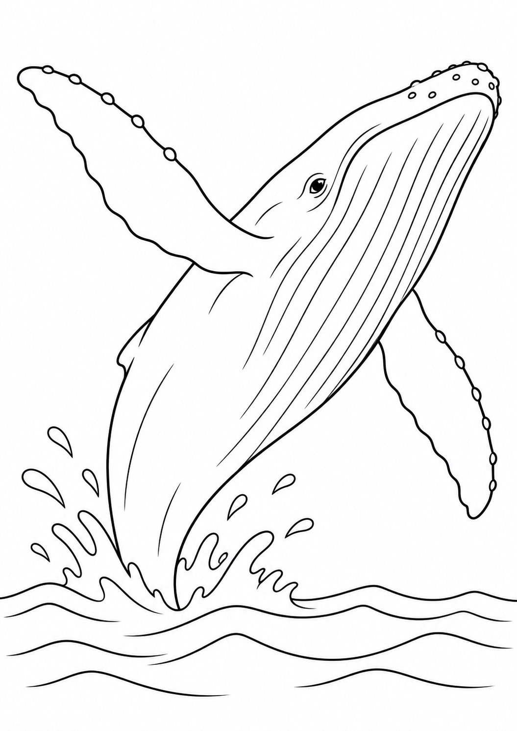 Baleia Jubarte Saltando Sobre as Ondas