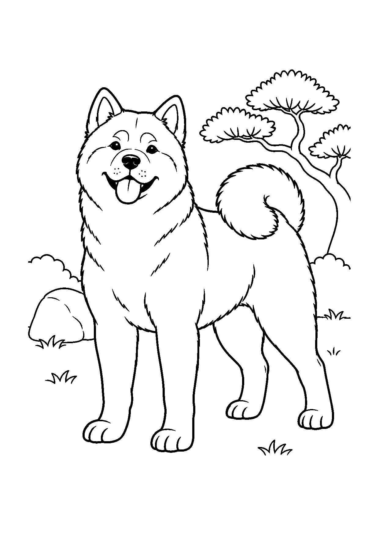 Akita Inu