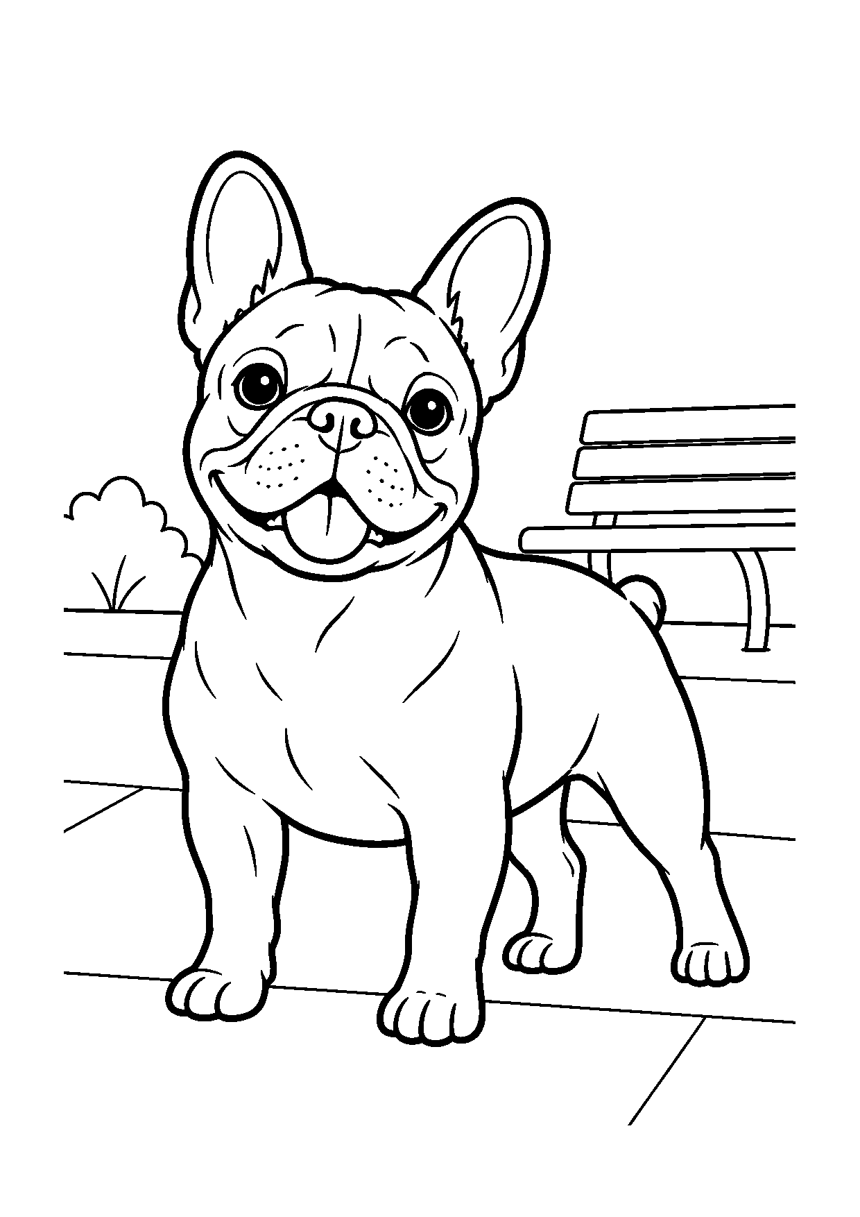 Bulldog Francês