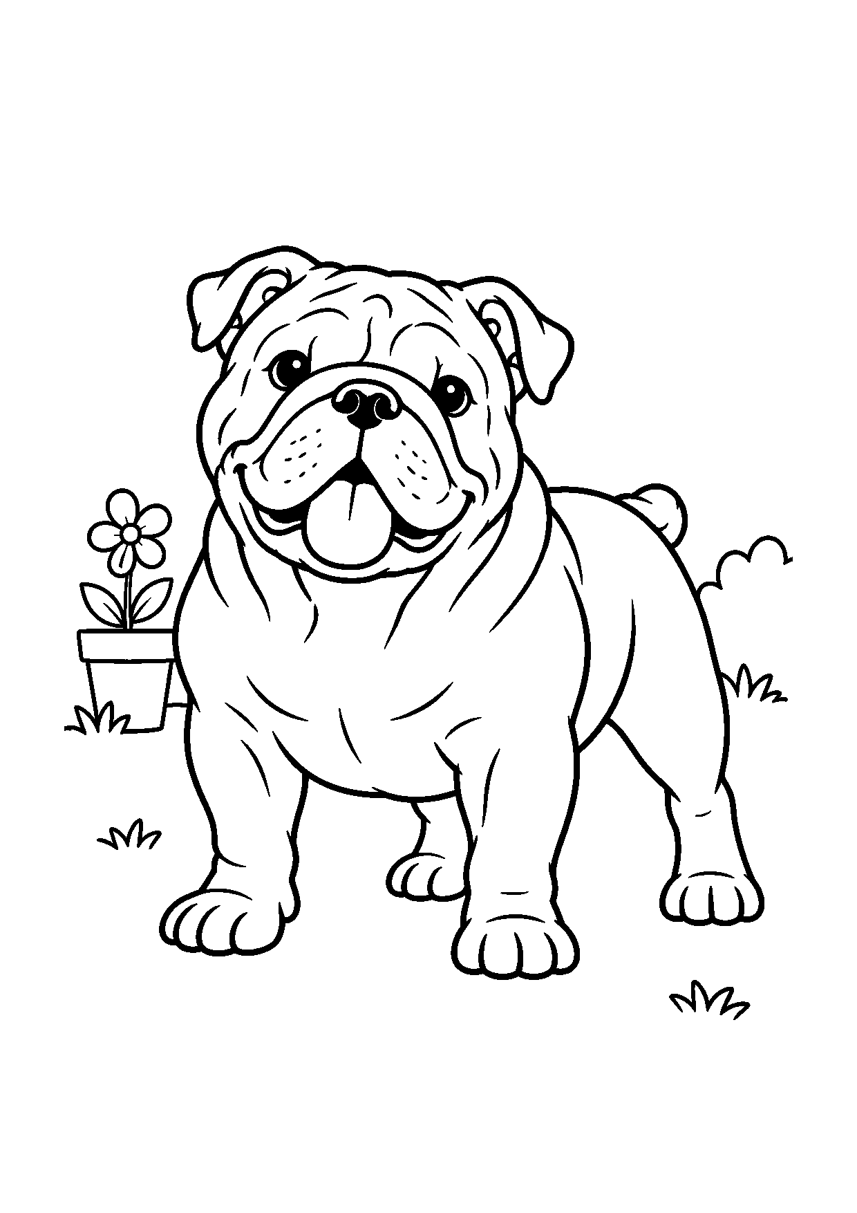 Bulldog Inglês