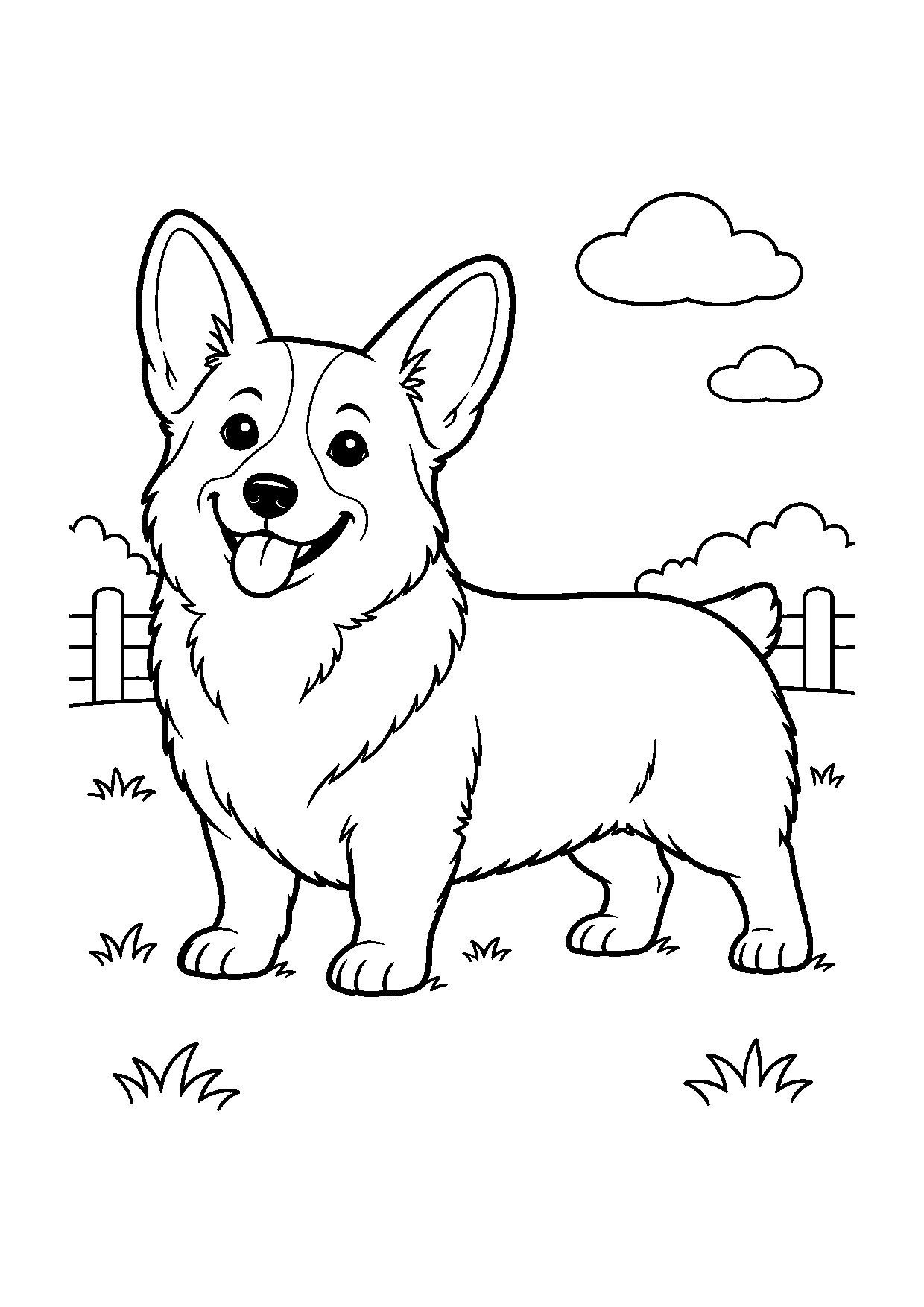 Corgi