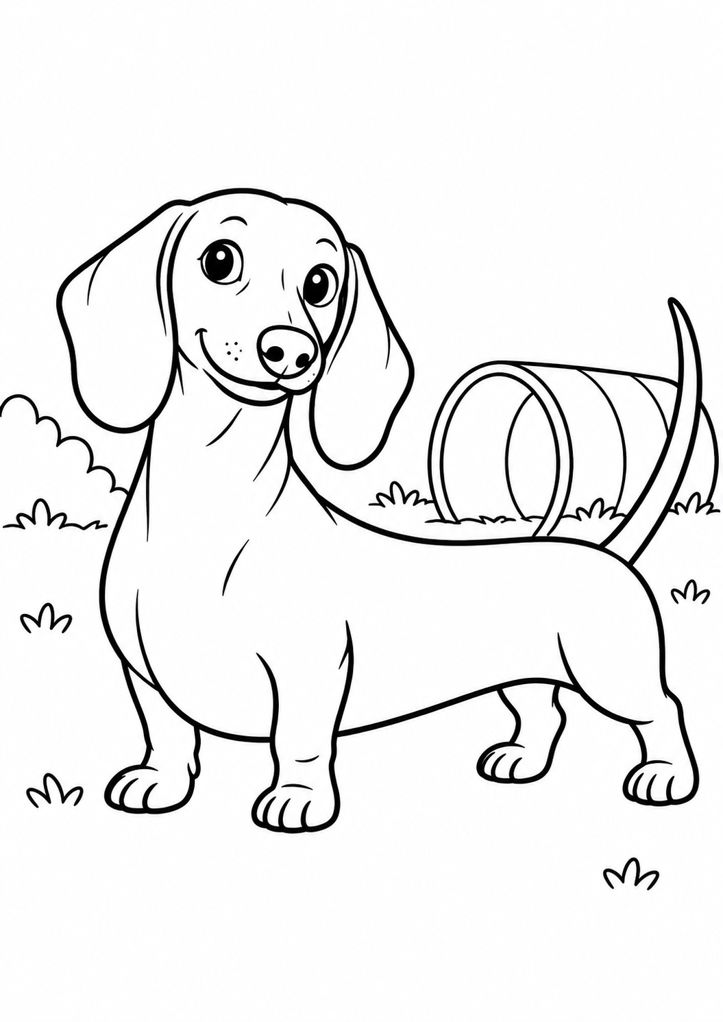 Dachshund