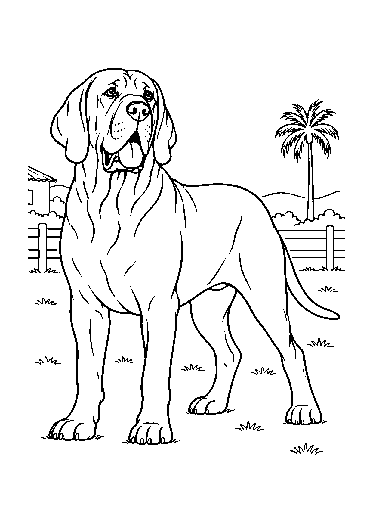 Fila Brasileiro
