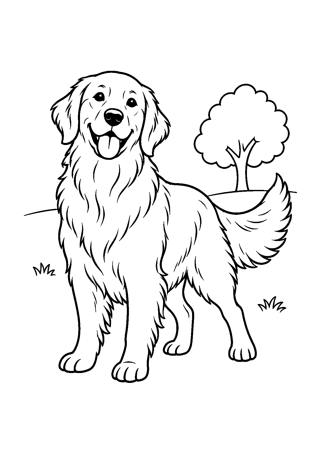 Golden Retriever