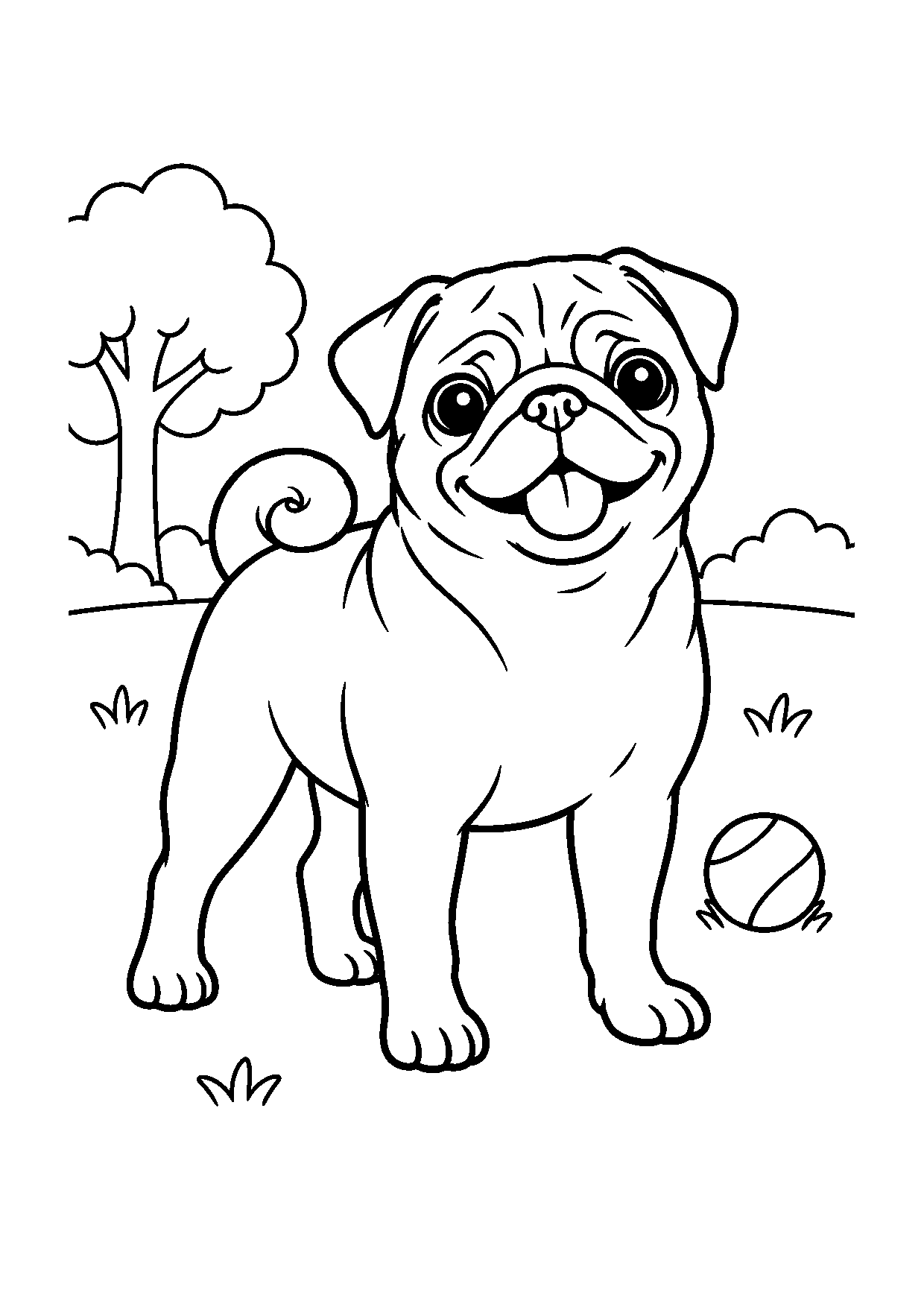 Pug