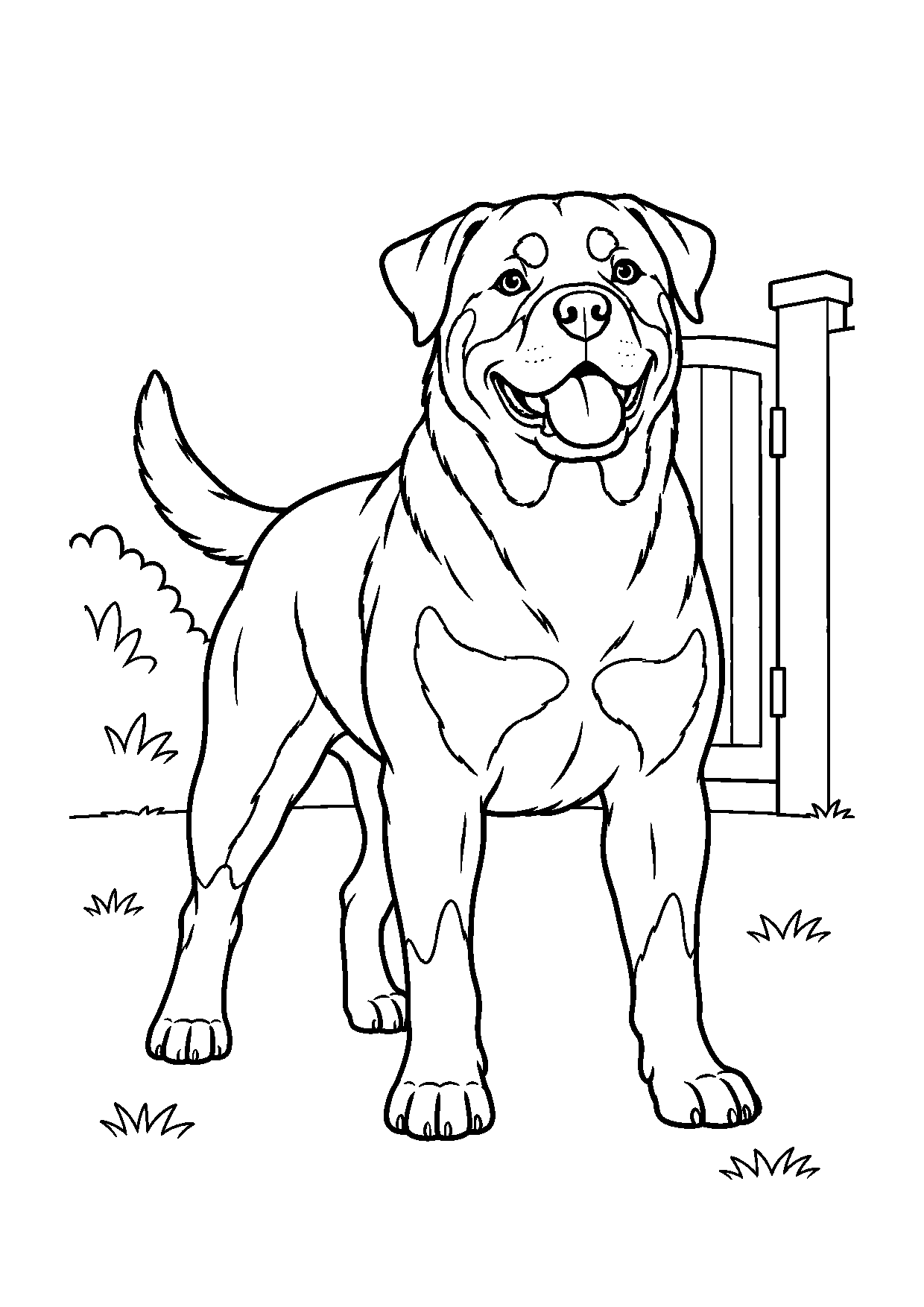 Rottweiler