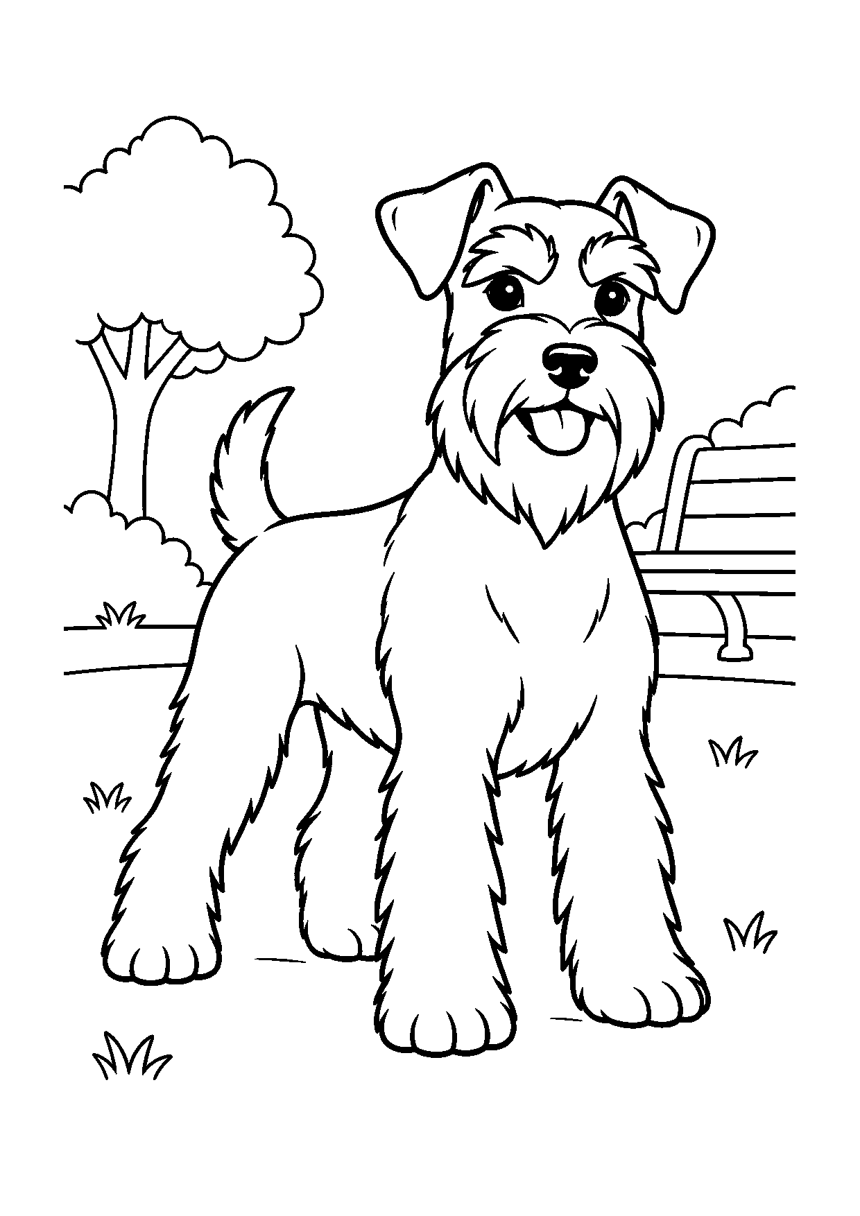Schnauzer Miniatura