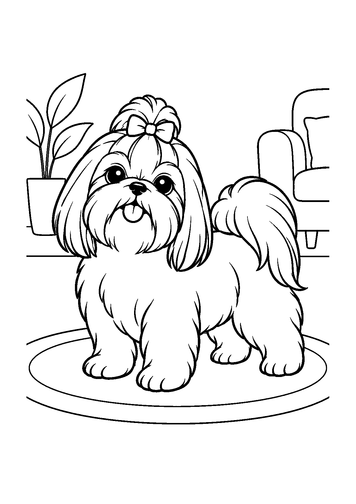 Shih-tzu