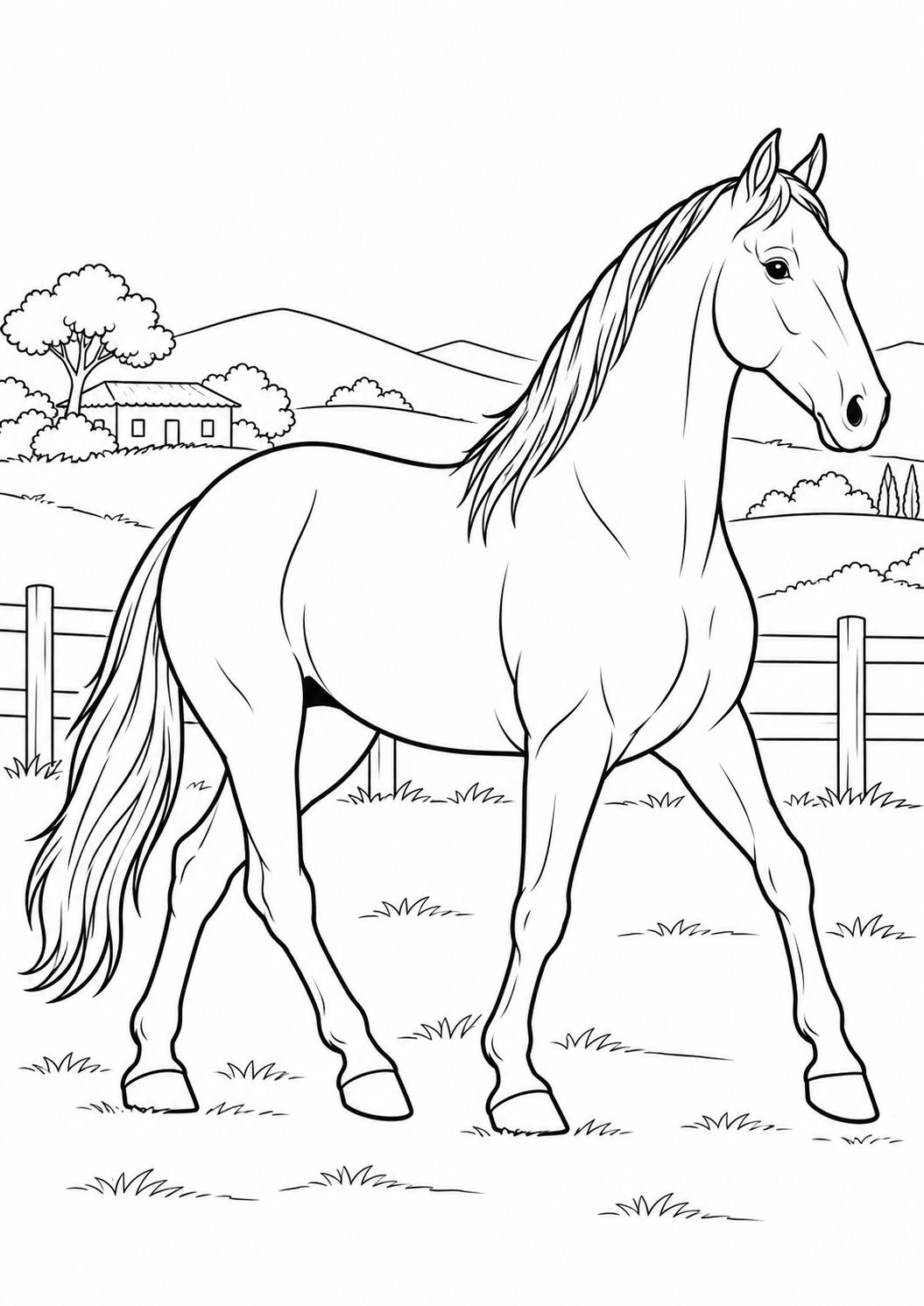 Cavalo Campolina
