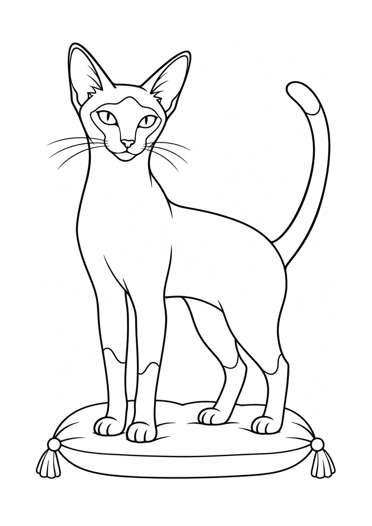 Gato Siamês